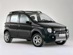 Fiat Panda 4x4 Monster 2006 года